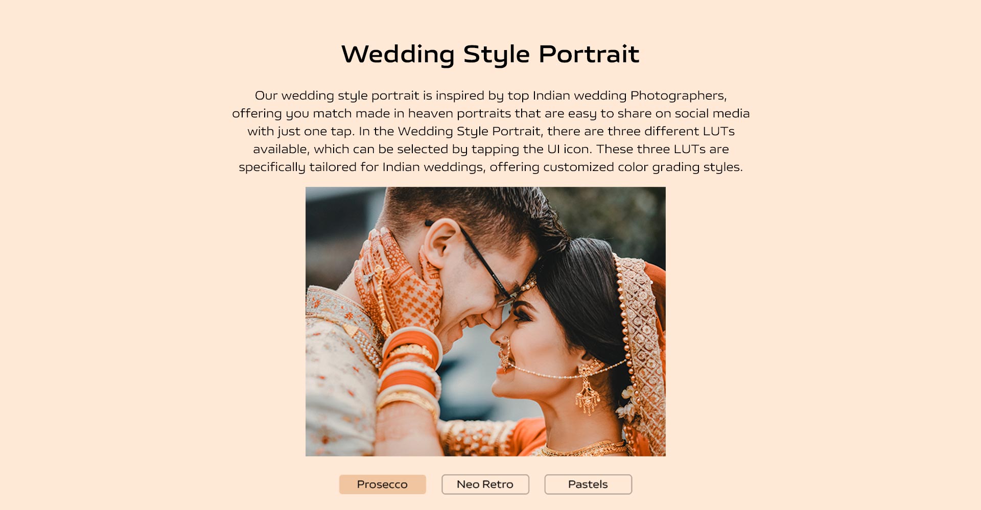 Wedding Style Portrait